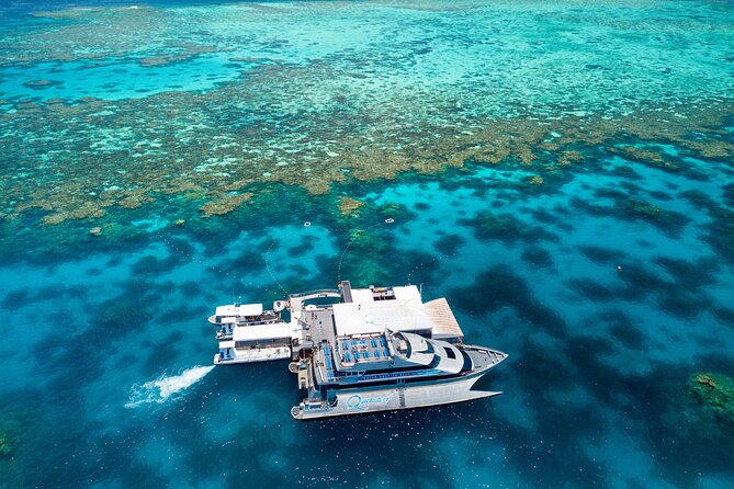 Quicksilver Great Barrier Reef Snorkel Cruise from Port Douglas - Snorkeling for confident swimmers and beginners