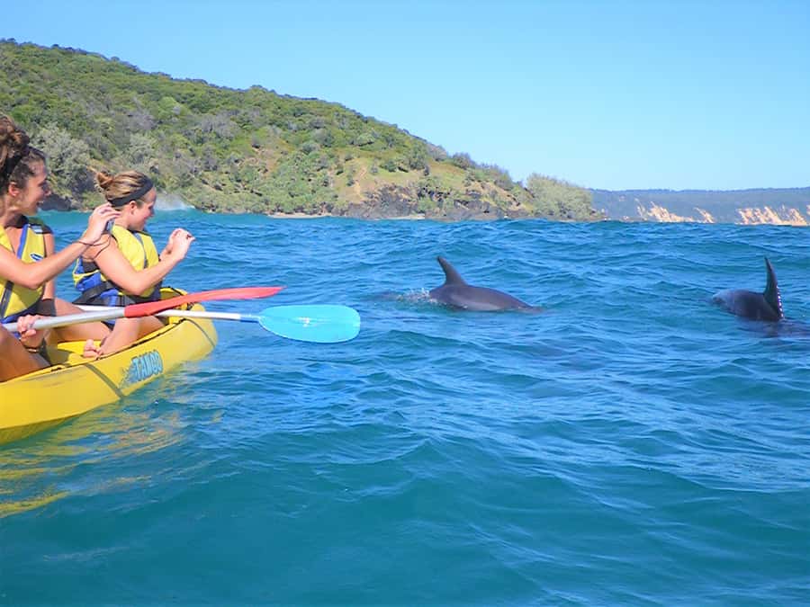 Rainbow Beach: Kayaking with Dolphins and Beach 4WD Tour - Why this Rainbow Beach tour is different