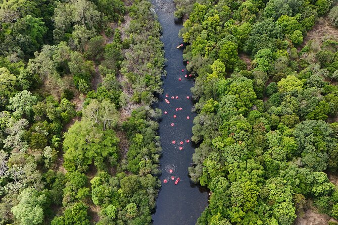 Rainforest River Tubing from Cairns - Key points before you book