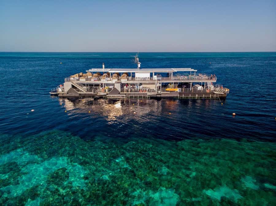 Reef Sleep: 2-Day Great Barrier Reef Pontoon & Gourmet Meals - Key points to know before booking