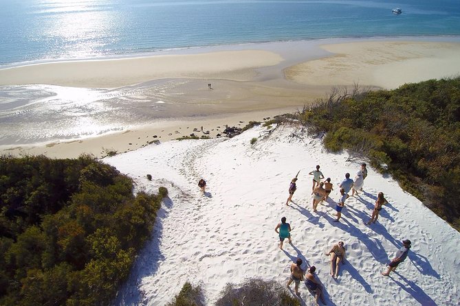 Remote Fraser Island Experience - Afternoon tea and the cruise back