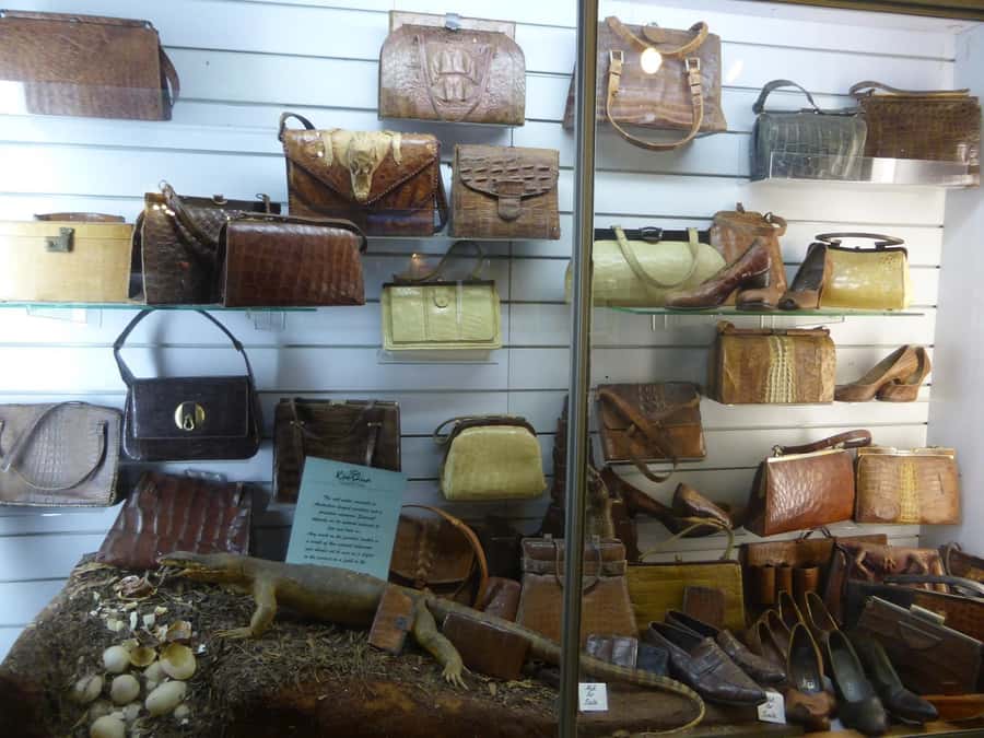 Rockhampton: Koorana Crocodile Farm Guided Tour - Koorana Crocodile Farm at a glance