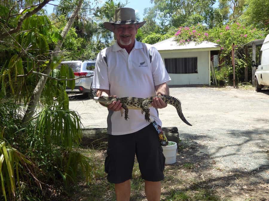 Rockhampton: Koorana Crocodile Farm Guided Tour - The farm walk brings the information to life