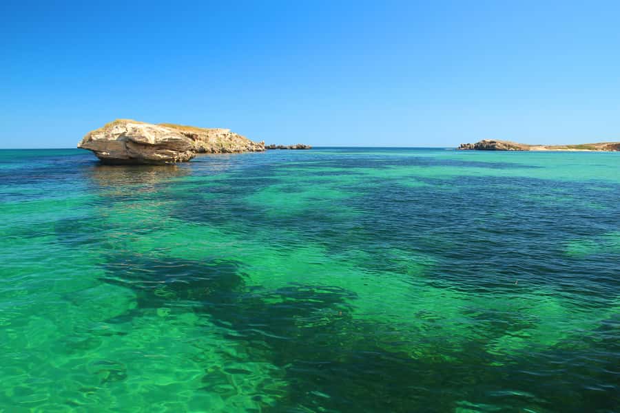 Rockingham: 3 Island Wildlife Snorkeling Cruise with Lunch - Is $176 per person good value?
