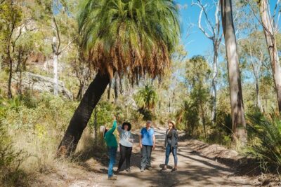 Roma: Lost World Carnarvons (Wallaroo) Day Tour