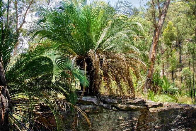 Roma: Lost World Carnarvons (Wallaroo) Day Tour - Rainbow Cave and Aboriginal rock art