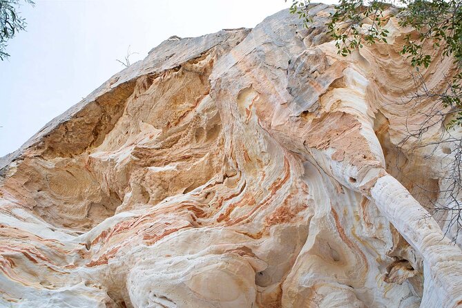 Roma: Lost World Carnarvons (Wallaroo) Day Tour - The Dawson River waterhole and local stories