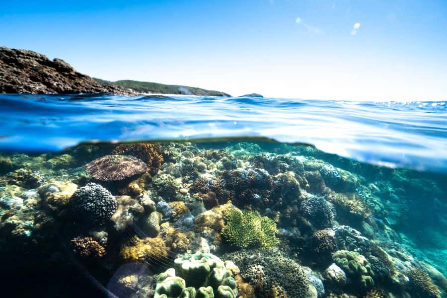 Rosslyn: Great Keppel Island Glass Bottom Boat Tour - Timing the Day Carefully