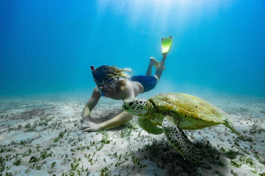 Rosslyn: Great Keppel Island Glass Bottom Boat Tour - FAQ
