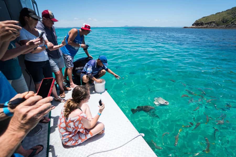 Rosslyn: Great Keppel Island Glass Bottom Boat Tour - Fisherman’s Beach and the One-Hour Boat Tour