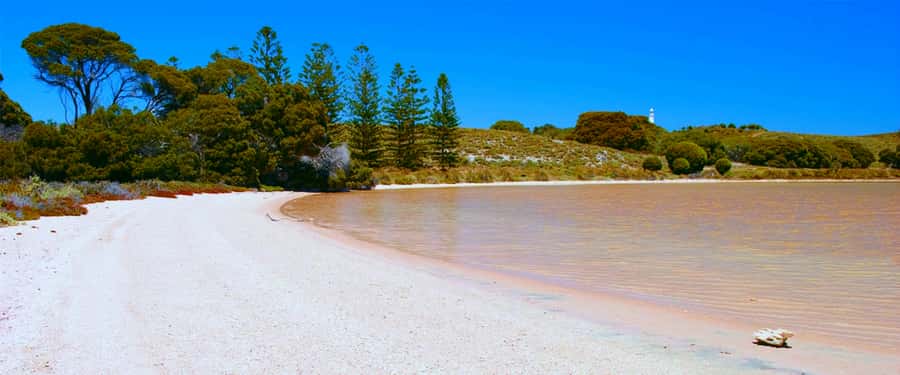 Rottnest Grand Island Package with Ferry, Tour & Light Lunch - Why this package works for a first Rottnest visit