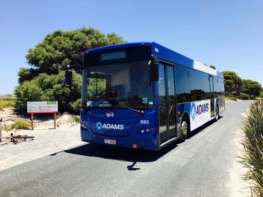 Rottnest Grand Island Package with Ferry, Tour & Light Lunch - Finding the meeting point after arrival