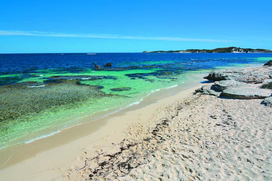 Rottnest Grand Island Package with Ferry, Tour & Light Lunch - Seeing Rottnest by air-conditioned coach