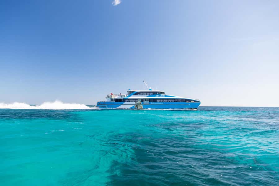 Rottnest Grand Island Package with Ferry, Tour & Light Lunch - How good is the $138 value?