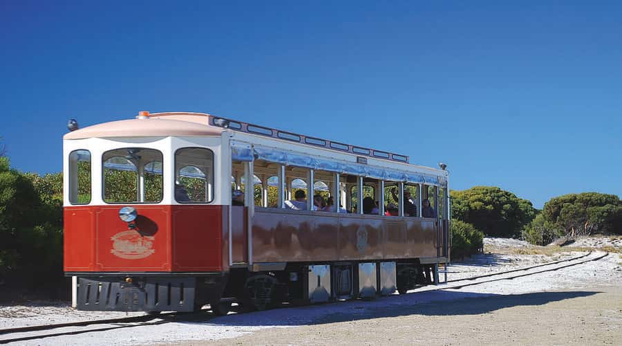 Rottnest Island: Grand Bus and Train Tour with Lunch - Why this tour works well for a first visit