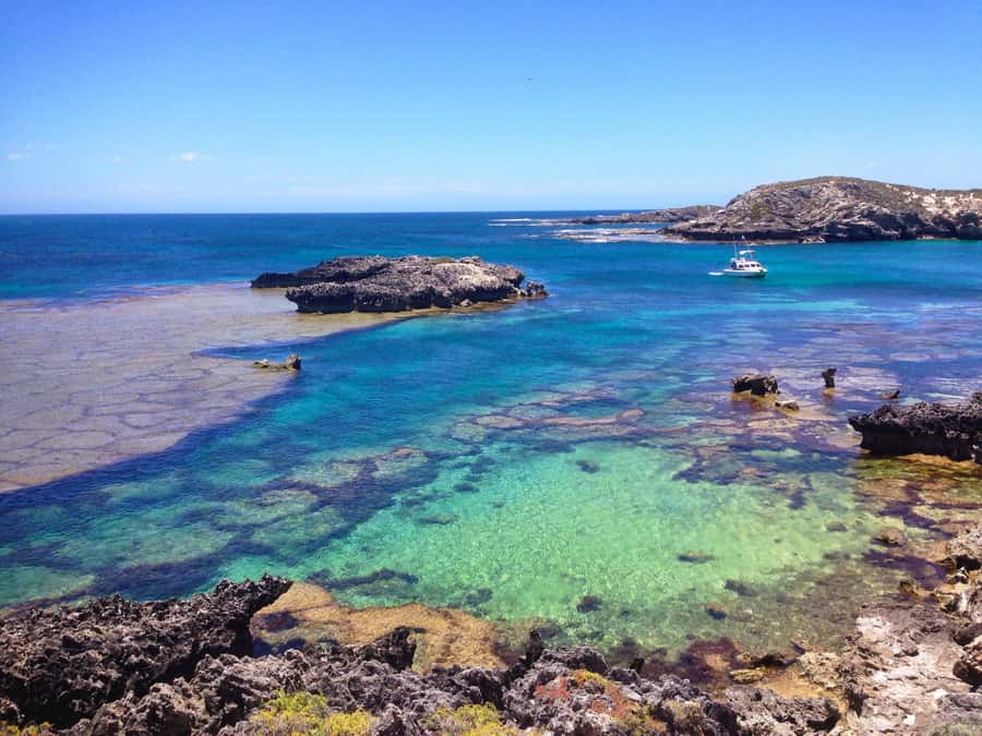 Rottnest Island Segway 1-Hour Settlement Tour - Bathurst Lighthouse and turquoise water