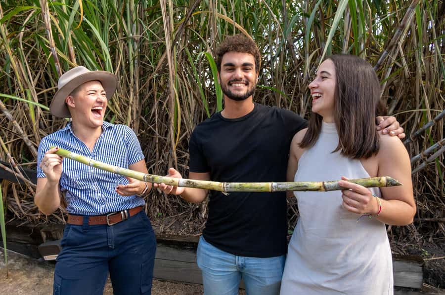 Sarina: Sarina Sugar Shed Guided Tour with Tastings - Following cane from plant to sugar