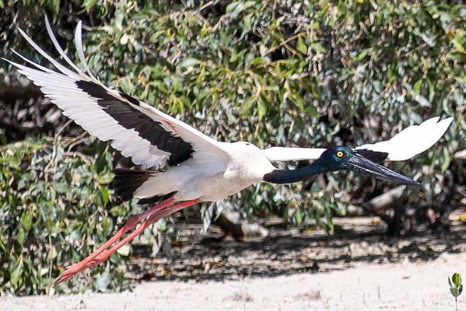 SCENIC AND PREHISTORIC CRUISE - Sparkling Wine & Gourmet Platters - Guides who bring Broome’s stories to life