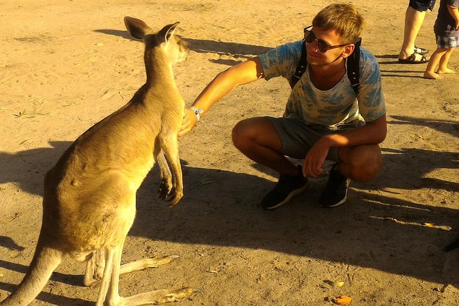 Scooter Wildlife & Sunset Tour - Who Will Enjoy This Ride Most
