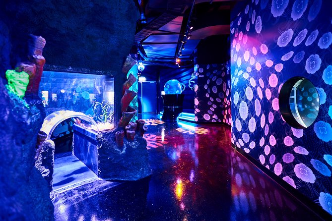 SEA LIFE Melbourne Aquarium Admission Ticket - Penguin Playground: The Main Family Favorite