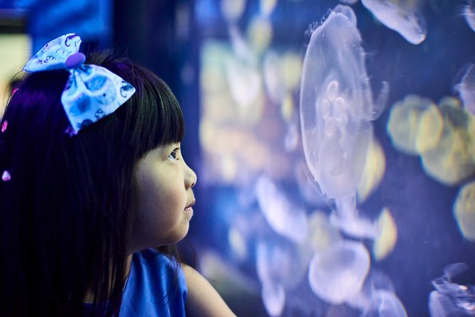 SEA LIFE Melbourne Aquarium Admission Ticket - Sharks, Rays, Turtles, and the Large Main Tank