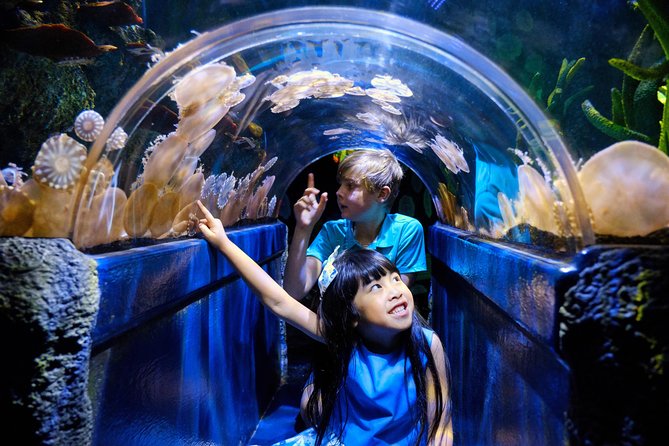 SEA LIFE Melbourne Aquarium Admission Ticket - Starting With Jellyfish, Seahorses, and Sea Dragons