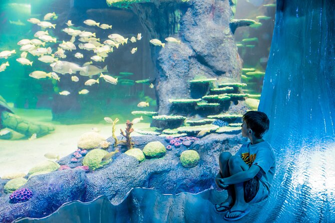 SEA LIFE Sydney Aquarium Entrance Ticket - The Penguin Expedition is short but memorable