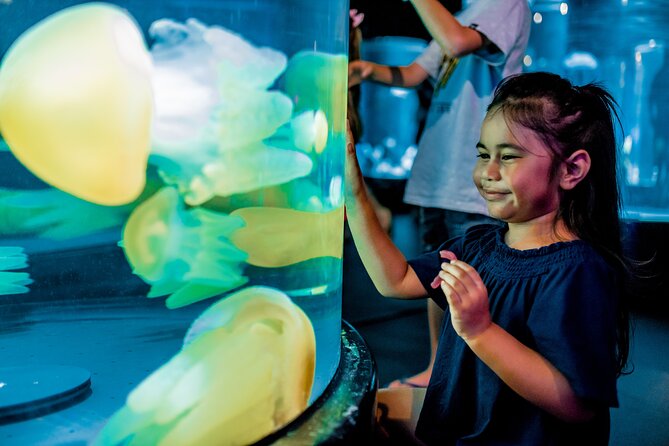 SEA LIFE Sydney Aquarium Entrance Ticket - Starting with the South Coast Shipwreck