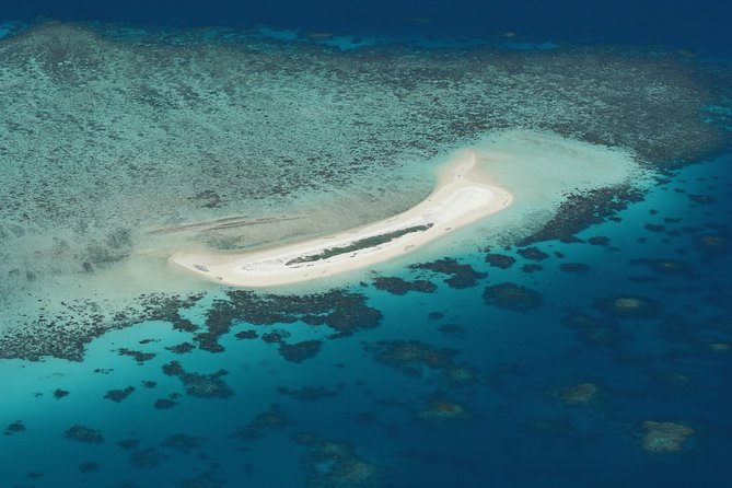 Seastar Luxury Outer Great Barrier Reef Island and Reef Tour - Key things to know before booking