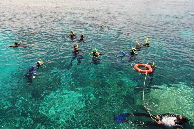Seastar Luxury Outer Great Barrier Reef Island and Reef Tour - Why two reef stops matter