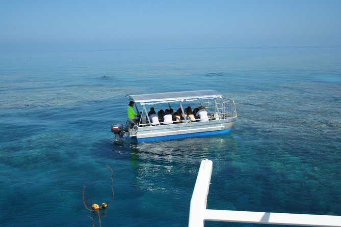 Seastar Luxury Outer Great Barrier Reef Island and Reef Tour - Hastings Reef: the day’s strongest underwater setting
