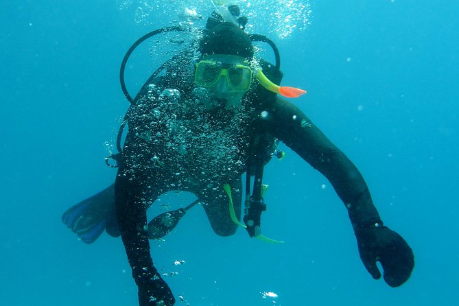 Seastar Luxury Outer Great Barrier Reef Island and Reef Tour - Practical details that can save you trouble