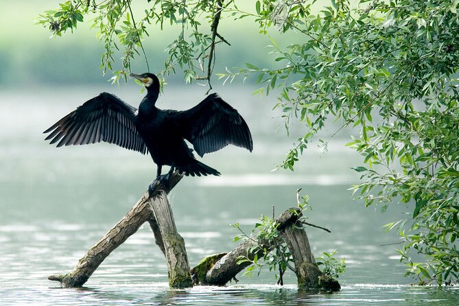 Serenity Cruise to Australia's Everglades - What to bring for a better afternoon