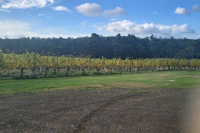 Signature Wine Tour - Hobart & SE Tasmania - Who should book this tour?