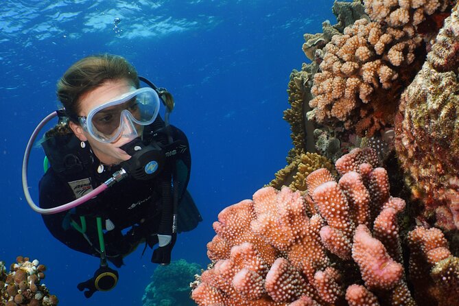 Silversonic Outer Great Barrier Reef Cruise from Port Douglas - Crew, safety, and the feel onboard