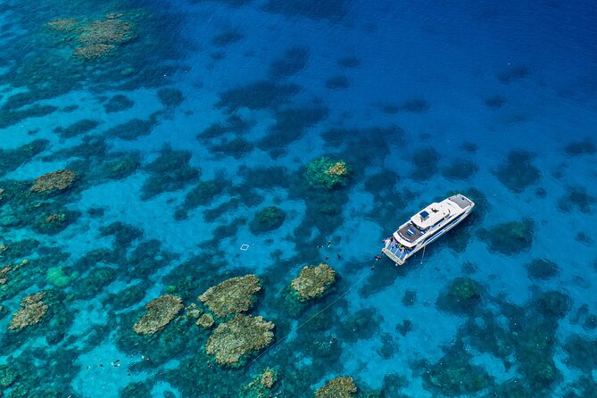 Silverswift Dive and Snorkel Great Barrier Reef Cruise - Five useful things to know before booking