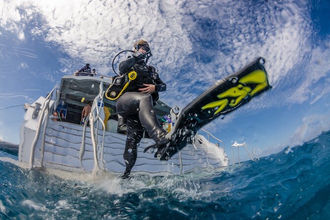 Silverswift Dive and Snorkel Great Barrier Reef Cruise - A full day on a well-equipped catamaran