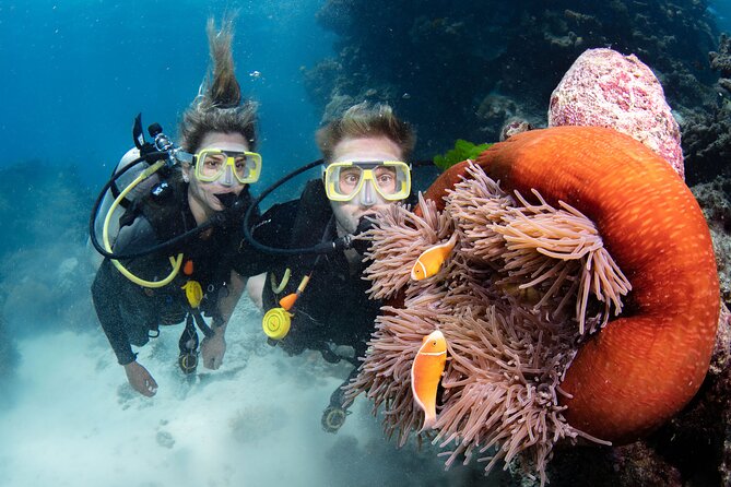 Silverswift Dive and Snorkel Great Barrier Reef Cruise - Who will enjoy this cruise most