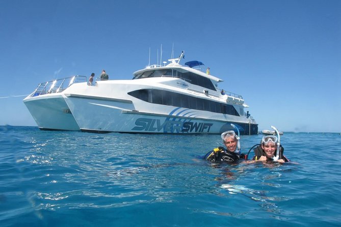 Silverswift Dive and Snorkel Great Barrier Reef Cruise - The first reef site: Flynn, Milln, or Thetford