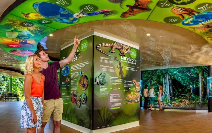 Skyrail Rainforest Cableway Round-Trip Experience - Key points at a glance