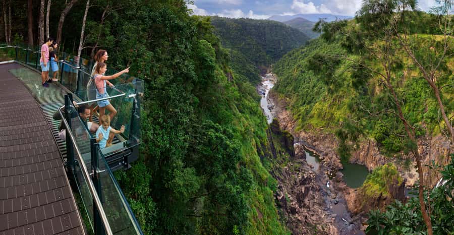 Skyrail Rainforest Cableway Round-Trip Experience - Red Peak Station and the 20-minute ranger walk