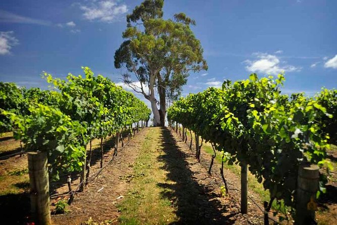 Small Group Adelaide Hills and Hahndorf Hideaway Tour from Adelaide - Why this Adelaide Hills day trip works