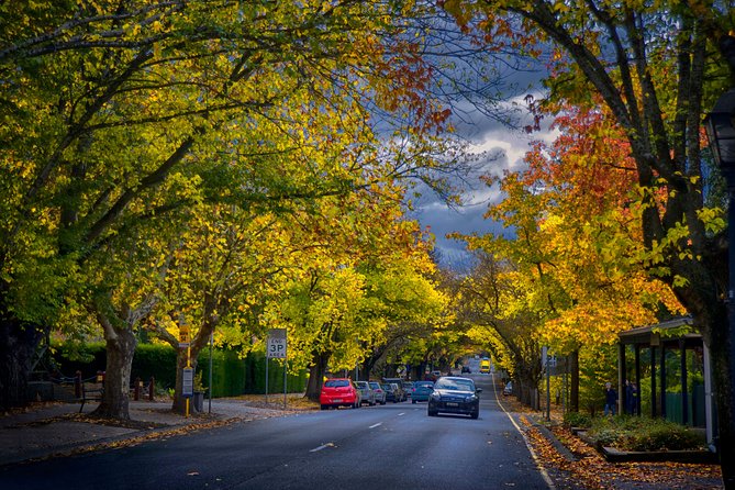 Small Group Adelaide Hills and Hahndorf Hideaway Tour from Adelaide - Beerenberg Farm: jams, sauces, and a useful shopping stop