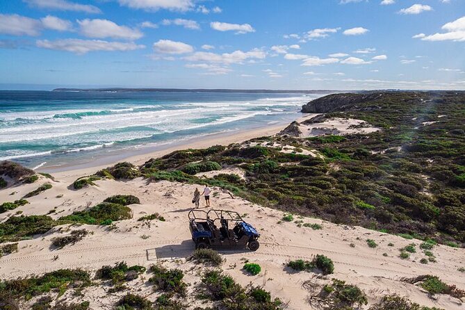 Small-Group Buggy Tour at Little Sahara with Guide - Key points to know before you book