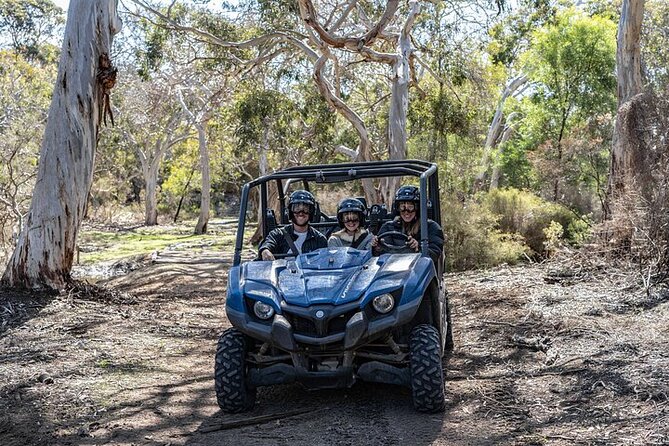 Small-Group Buggy Tour at Little Sahara with Guide - The forest route, gum trees, orchids, and koalas