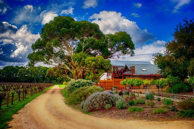 Small-Group River Murray Dark Sky and Sunset Tour with Dinner - Guide support and group size