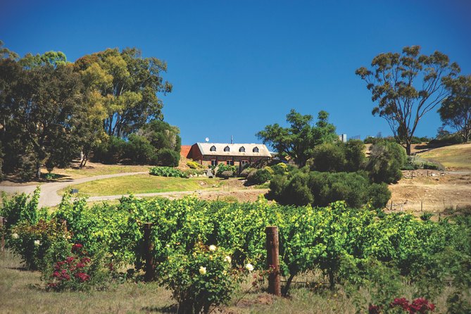 Small Tour Barossa Valley Voyager Tour from Adelaide - Lunch at Wanera Wine Bar