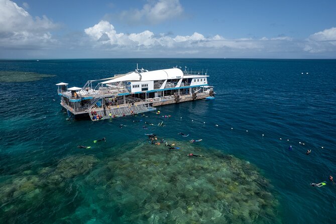 Snorkel & Dive the Reef: Sustainable, Scientific & Cultural Tour - Five things to know before you go
