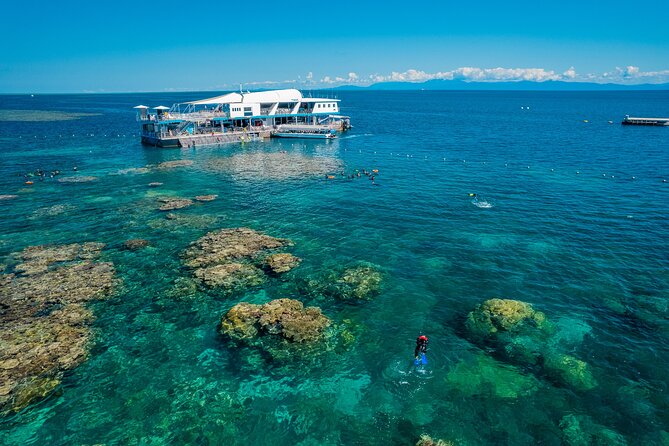 Snorkel & Dive the Reef: Sustainable, Scientific & Cultural Tour - Marine World platform: your base for several hours