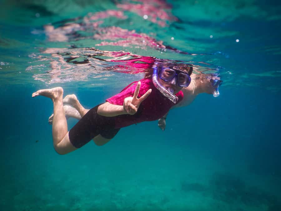 Snorkeling Tour: Discover Sydney’s impressive sea life - What happens after you leave the water